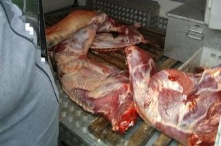 Przewóz mięsa w skandalicznych warunkach