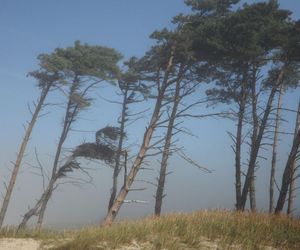 Kirk nadciąga nad Polskę. Przyniesie niebezpieczne zjawiska dla części kraju 