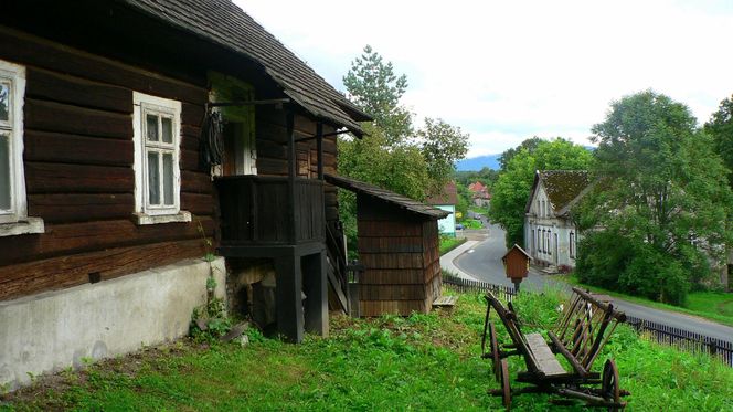 Opuszczona wieś na Podlasiu, gdzie czas dawno się zatrzymał. To "podlaska Narnia" według AI!