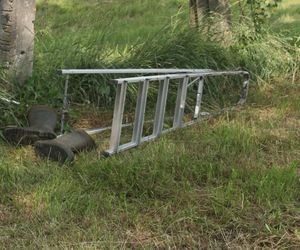 Ratował boćka na słupie, spadł z drabiny