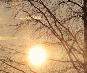 Mgły, a potem słońce i 16 stopni! Pogoda na niedzielę