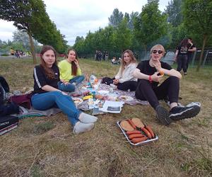 Jutro startuje Wielkie Grillowanie UAM. ZTM wzmocni komunikację 