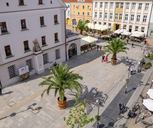 Las Palmas przyjechało na Śląsk. Gliwice niczym egzotyczny kurort dla turystów