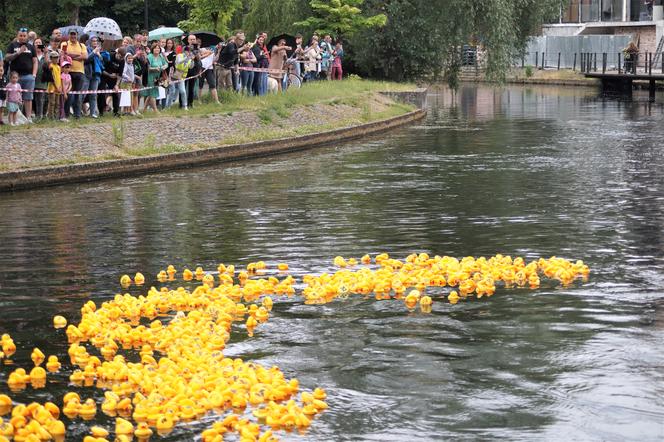 Ster na Bydgoszcz 2023. V Charytatywny Wyścig Kaczek Rotary [ZDJĘCIA]