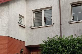 Uchylone okno przyczyną tragedii. Kot umierał w męczarniach