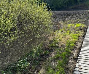 Duży pożar na pograniczu polsko-słowackim. Na miejscu pracuje wiele zastępów straży pożarnej