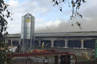 Pożar obory w Bruszczewie. Strażacy ewakuowali bydło, część zwierząt mogła ucierpieć