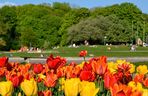 Najpiękniejszy park na świecie znajduje się w Warszawie? Ten Central Park wygląda jak z bajki Disneya