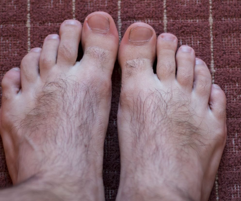 Owłosione męskie stopy 