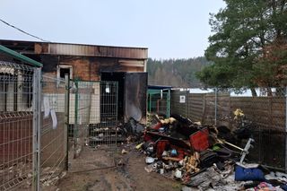 Pożar w schronisku Dąbrówka pod Wejherowem. Blisko trzydzieści zwierząt nie żyje. Wszyscy tu ryczą