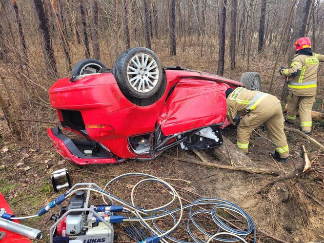 Śmiertelny wypadek pod Sandomierzem! Audi przygniecione przez drzewo. 35-latek nie żyje [ZDJĘCIA].