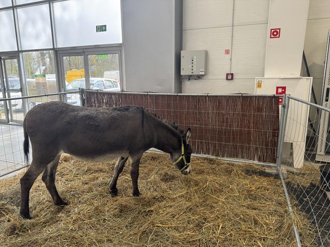 ZooPark w Lublinie. Dzień drugi