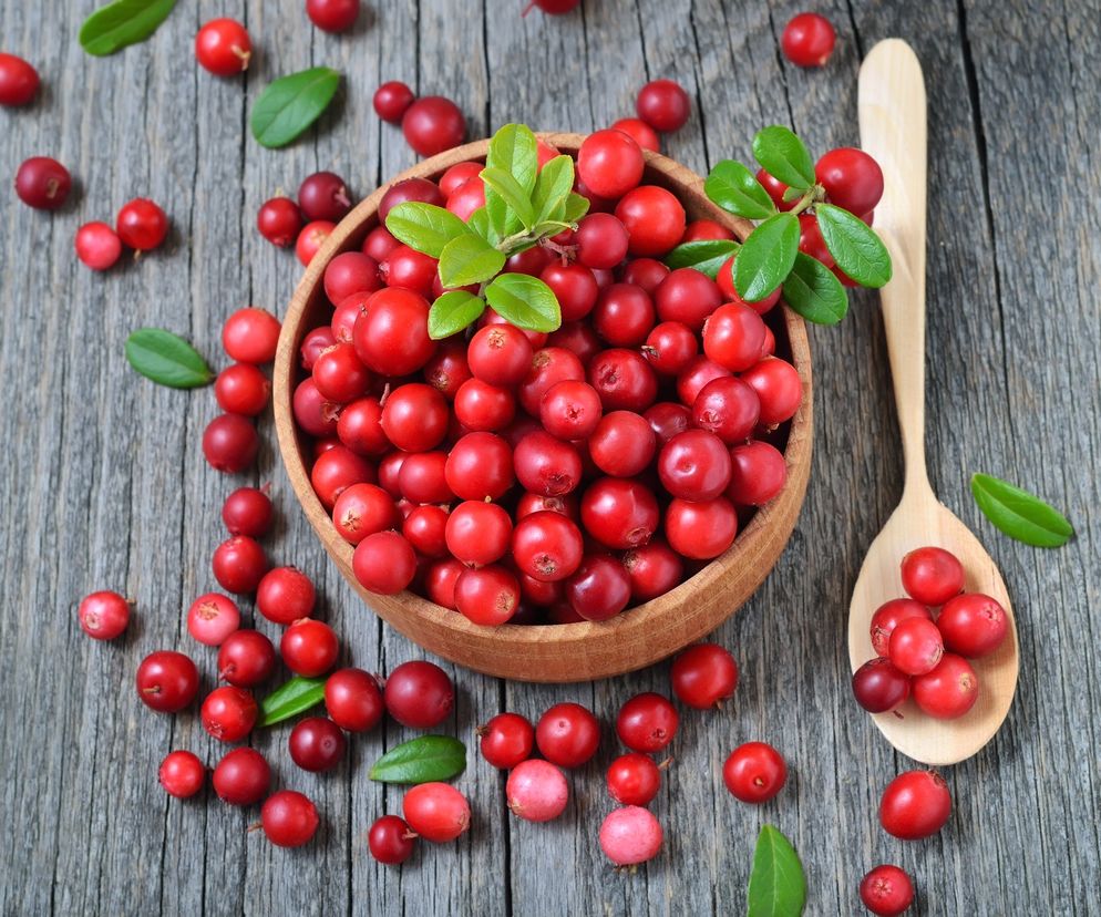 Borówka brusznica (czerwona) - właściwości lecznicze i zastosowanie