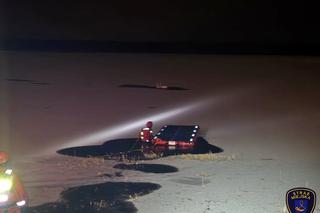 Strażacy z Tychów ruszyli na pomoc łabędziom na Jeziorze Paprocańskim [ZDJĘCIA]