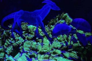 Najbardziej niedoceniana atrakcja Łodzi? Nie Manufaktura, nie Księży Młyn. To muzeum, które naprawdę zaskakuje