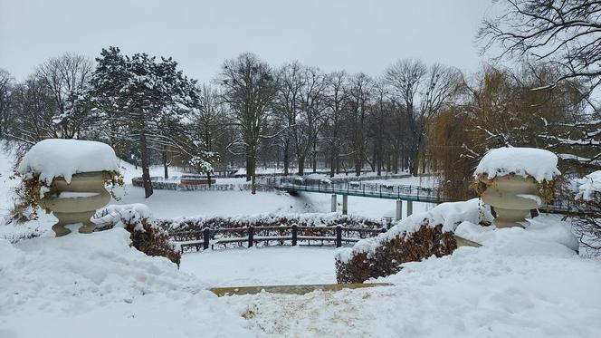 Zamojski Park pod śniegiem