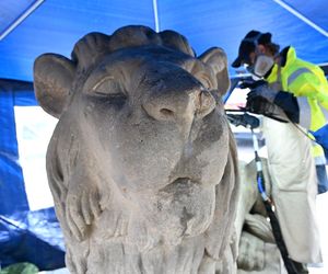 Renowacja koszalińskich lwów