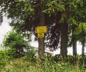 Mikrodomek na Antałówce, Zakopane