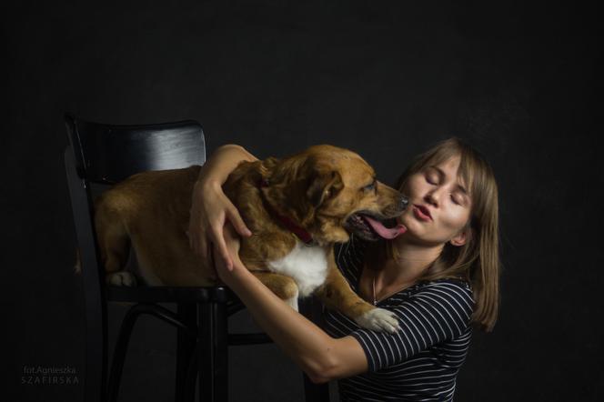 "Adopcja nie gryzie": Przyjdź na sesję zdjęciową z pupilem w Rzeszowie