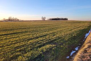 To historyczny moment. Łukasz Wawrzyszko udowodnił, że z Rzeczycy Księżej widać Tatry!