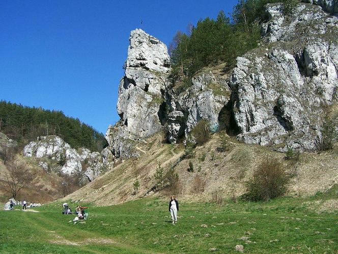 Dolina Kobylańska (Dolinki Podkrakowskie)