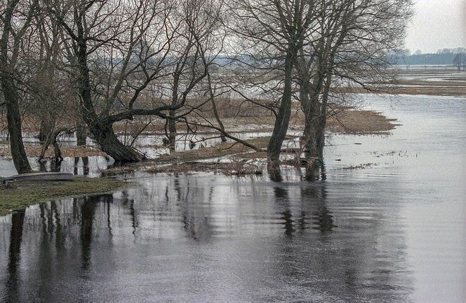 Biebrzański Park Narodowy, Północny Basen Biebrzy (okolice Goniądza)