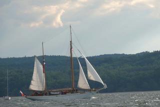 ParadaZagleGdyni2014_FotMZwierz_710046