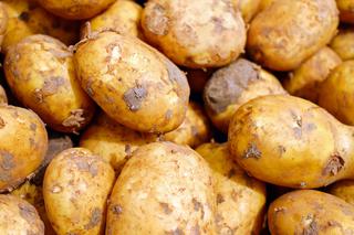 Matka z synem ukradli 30 kilogramów ziemniaków. Grozi im 5 lat więzienia