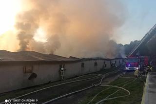 W Ćmińsku pali się kurnik