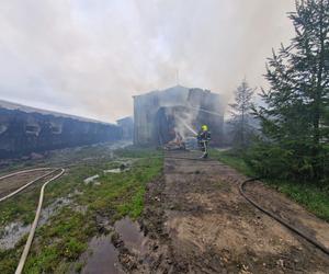 Ogromny pożar kurnika pod Olsztynem. W akcji udział brało aż 18 zastępów straży pożarnej [ZDJĘCIA]