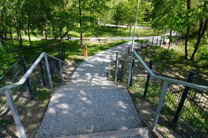 Tak wygląda park w dolinie Ślepiotki w Katowicach