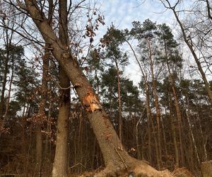  Lubelskie. Żołnierz zginął w tragicznym wypadku. Mariusz miał 32 lata. Pozostaniesz w naszej pamięci