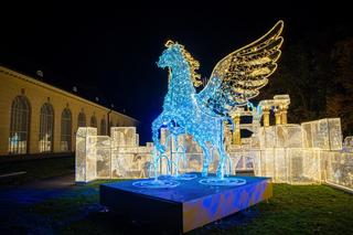 Królewski Ogród Światła - zdjęcia iluminacji w warszawskim Pałacu Wilanów