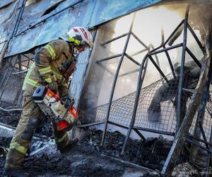 Akcja gaśnicza pożaru hali przy Marywilskiej 44 w Warszawie