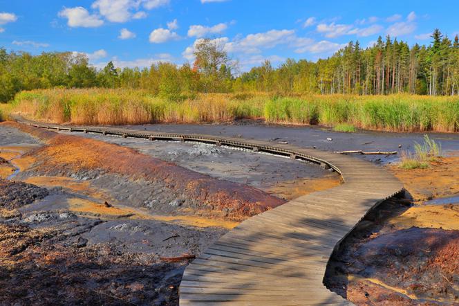 Podróż po Czechach dookoła świata