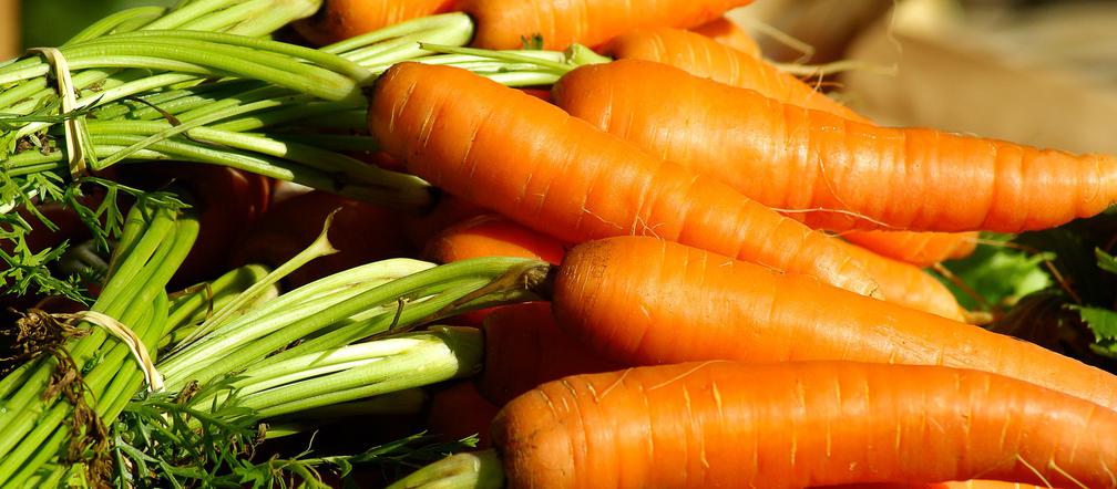 Dzień Marchewki - 5 kwietnia. Dlaczego świętujemy Dzień Marchewki?