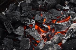 Węgiel brunatny z kopalni Bełchatów znów w sprzedaży! Cena węgla będzie dużo niższa?