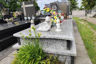  Grób maleńkiej Oli