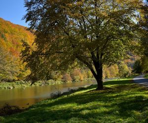 Małopolska wieś, która zachwyciła filmowców. Jesienią można poczuć się jak na planie