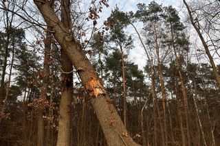  Lubelskie. Żołnierz zginął w tragicznym wypadku. Mariusz miał 32 lata. Pozostaniesz w naszej pamięci