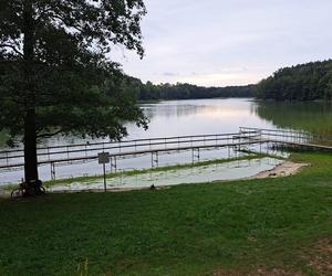 Katastrofa ekologiczna pomiędzy Piłą a Zelgniewem! Woda w jeziorze Wapieńskim skażona