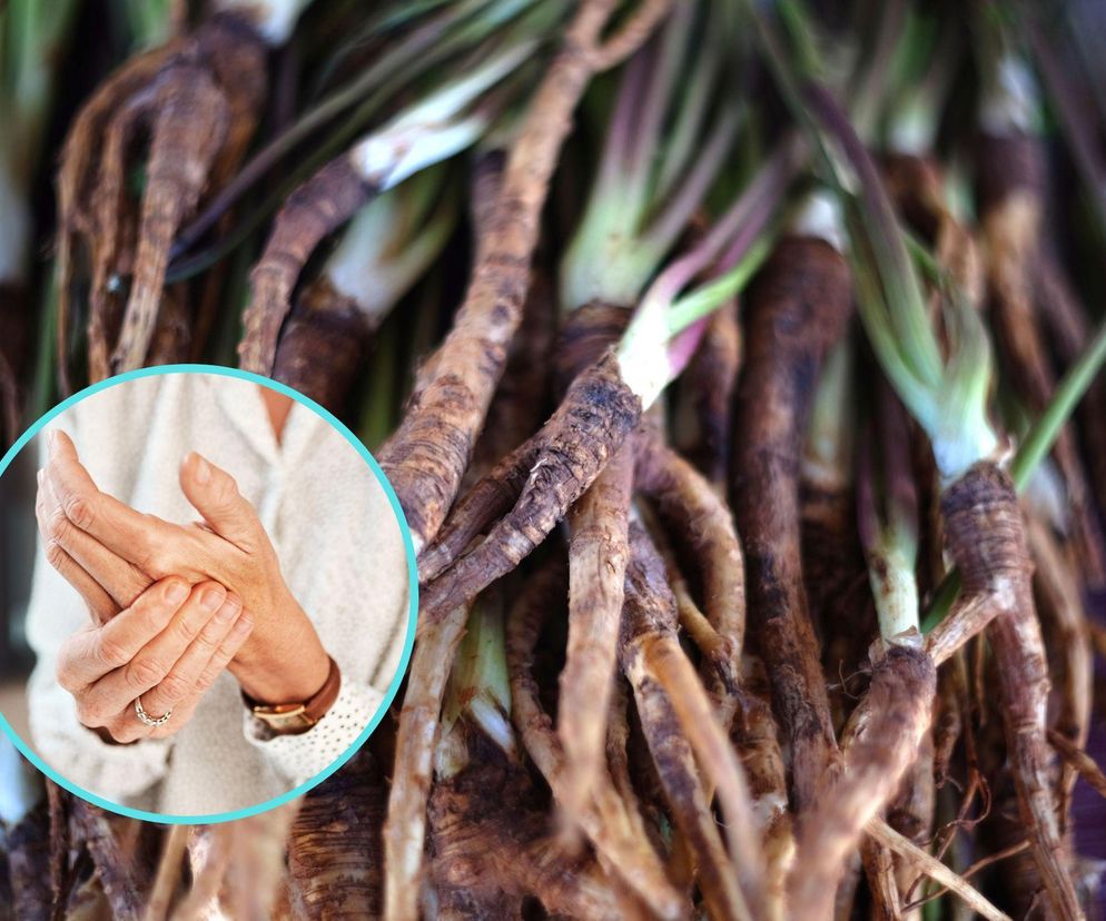 Choruje na nią 200 mln osób na świecie. Ta roślina może pomóc w leczeniu