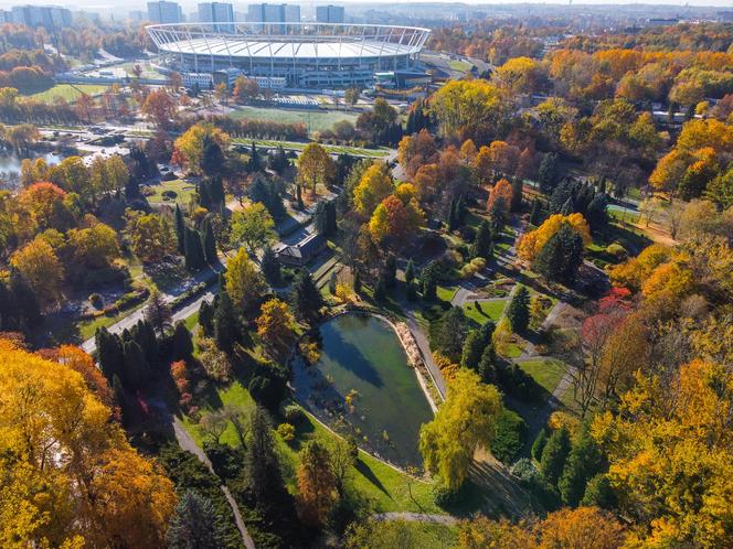 Park Śląski. Cichy zakątek