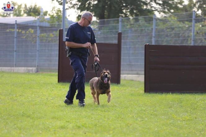 Wojewódzkie eliminacje do XXI Kynologicznych Mistrzostw Policji na obiektach KWP Lublin