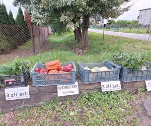 Tu rolnicy ufają, a klienci płacą. Mają samoobsługowe stoisko z warzywami
