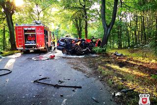 Śmierć na granicy dwóch województw! Tragiczny wypadek koło Zbąszynia