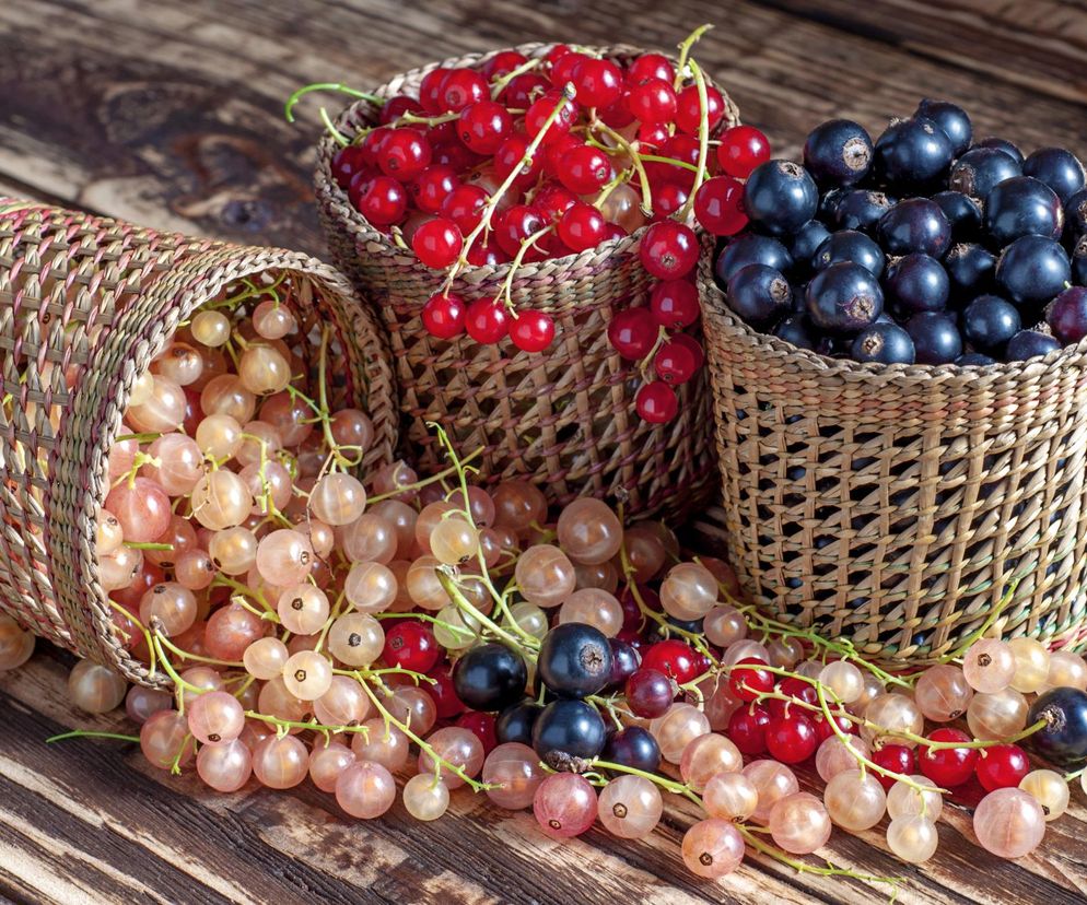 Zapomniany owoc ma niemal uzdrawiającą moc. Liczy się jednak kolor