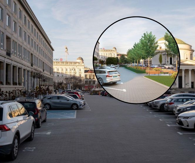 Więcej zieleni pojawi się na pl. Trzech Krzyży
