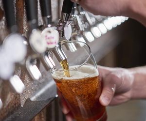 Piwo nie jest dla każdego. Lekarz zdradził, kto powinien go bezwzględnie unikać