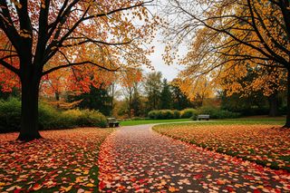 Ogród Botaniczny Wrocław zamyka sezon. Co zobaczysz w ostatnich dniach?